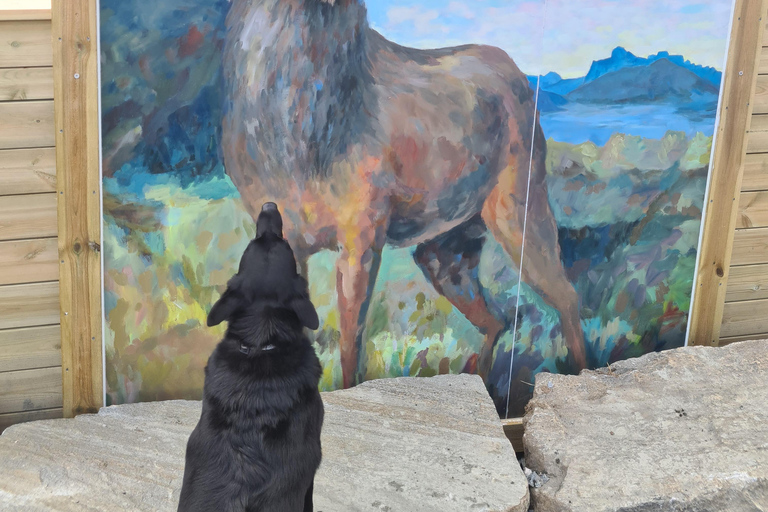 Måløy: Llama farm visit