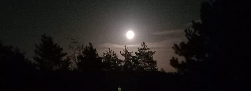 Fontainebleau: Randonnée Nocturne Guidée