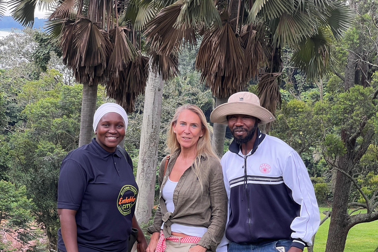 Mabamba Swamp shoebill and birding tour (Female led) Mabamba Swamp shoebill and birding tour(Female led)