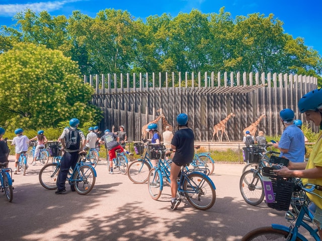 Lyon: 2-hour guided bike tour