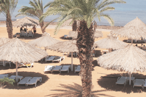 Aqaba: Private Beach, Pools, Snorkeling & Boat Trip,Transfer