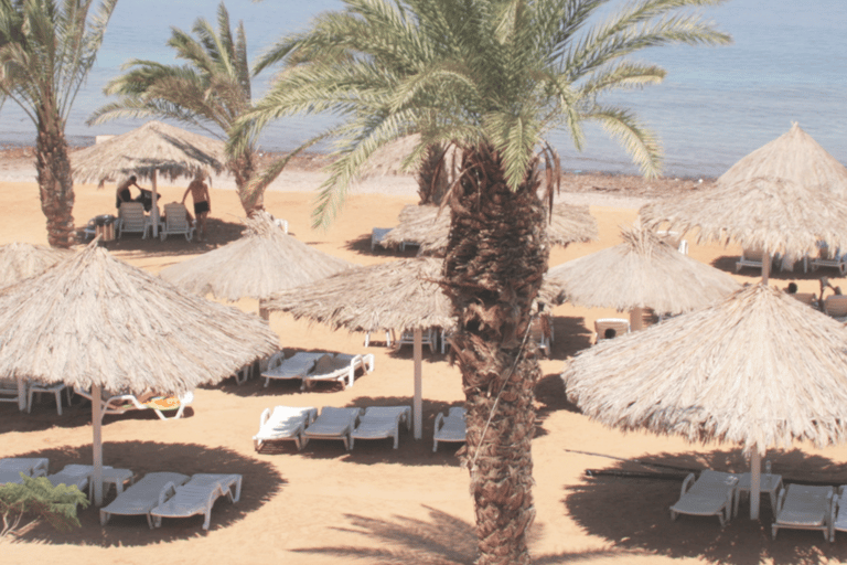 Aqaba: Spiaggia privata, piscine, snorkeling e gita in barca, trasferimento