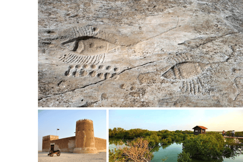From Doha: Private Al Jassasiya, Zubarah & Purple Island. Private Tour