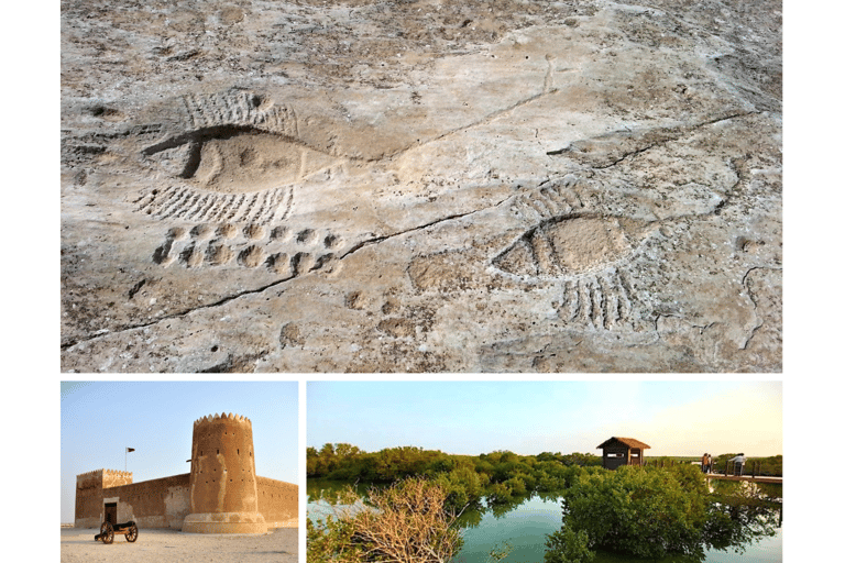 From Doha: Private Al Jassasiya, Zubarah & Purple Island. Private Tour