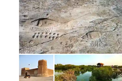 Heritage & Nature Tour: Al Jassasiya, Zubarah & Purple Island