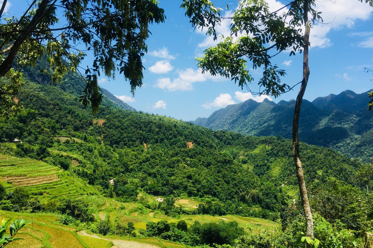 Von Hanoi nach Pu Luong: 2D1N Tour im lokalen ethnischen DorfPu Luong 2 Tage in der Gruppe