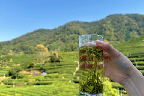 Hangzhou: Lingyin Temple & Longjing Tea Slow Day Experience Hangzhou Lingyin Temple & Longjing Tea Slow Day Experience