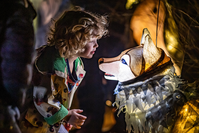 Chester Zoo: Lanterns and Light Entry