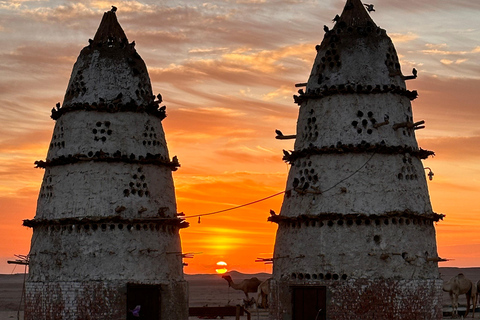 balade à dos de chameau avec coucher de soleil et observation des étoiles