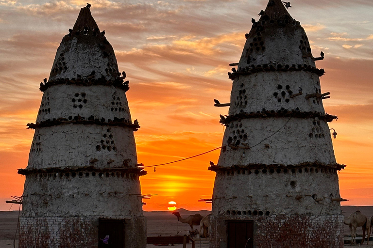 balade à dos de chameau avec coucher de soleil et observation des étoiles