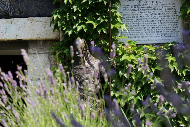 Belgrade Fortress: Private Tour to See Big Picture