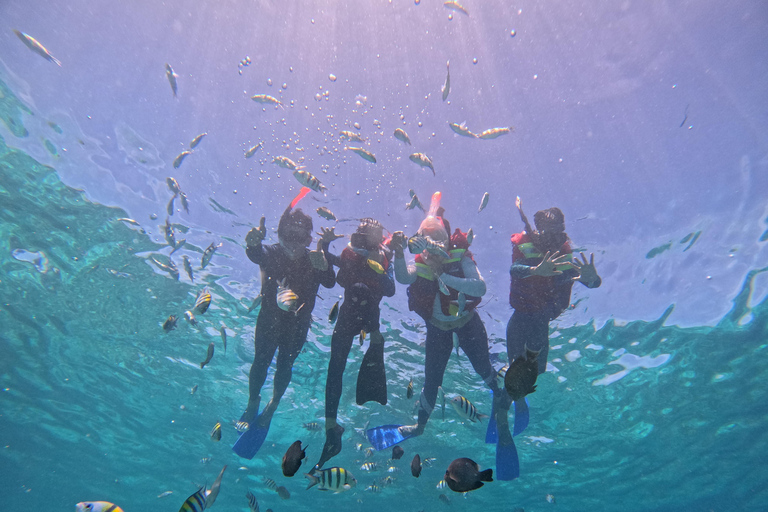 From Lombok Private Snorkeling 3 Gili All Inclusive