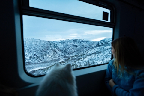 Vanuit Narvik: Arctische treinreis met Ofoten RailwayVan Narvik: Arctische treinreis heen en terug op Ofoten Railway