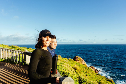 From Melbourne: Phillip Island Penguin Parade Express Tour