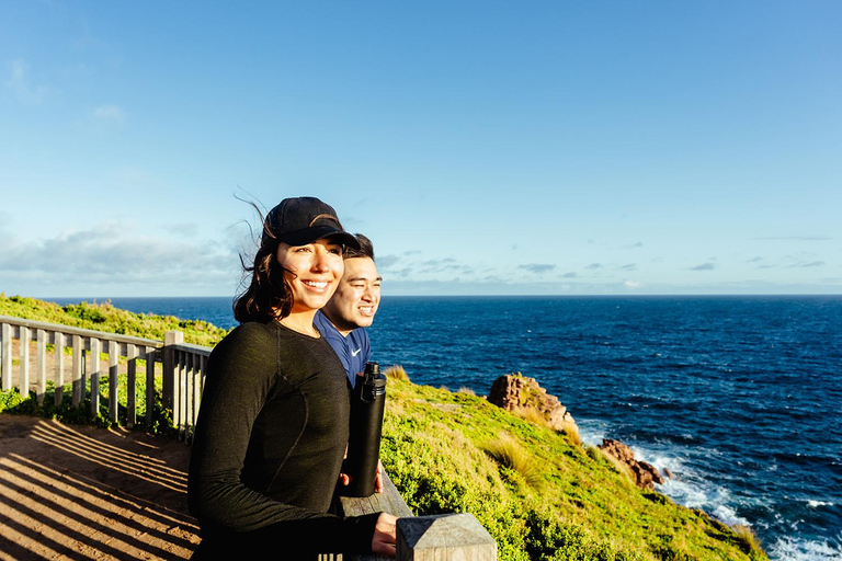 Depuis Melbourne : Circuit express de la parade des pingouins de Phillip Island