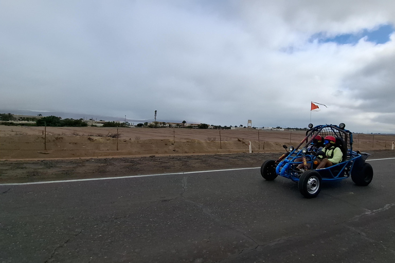 Paracas: Ballestas Islands Boat Tour & Mini Buggy Ride