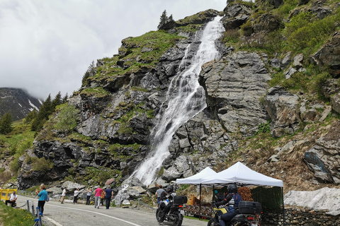 Bucharest: Top Gear Road & Wild Brown Bears, group max 8 pax Bucharest: Transfăgărășan Top Gear Road & Wild Brown Bears