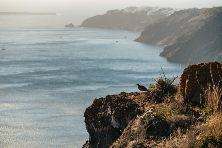 Santorini: begeleide wandeling naar krater en zonsondergang