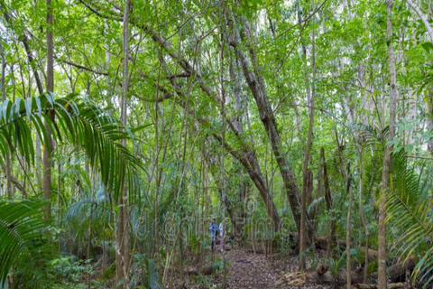 FROM NUNGWI/KENDWA:STONE TOWN, PRISON ISLAND & JOZANI FOREST Private tour include hotel pick up and drop off