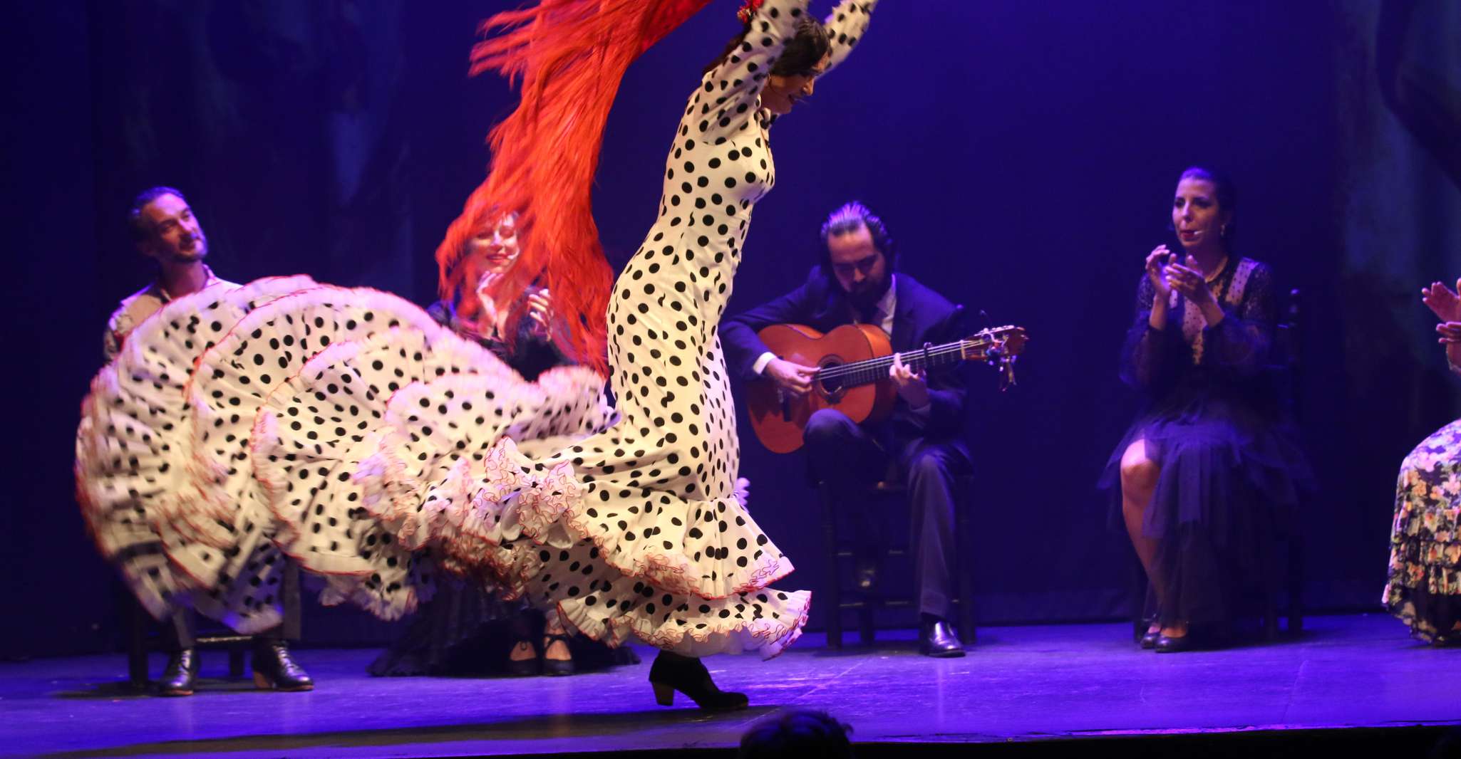 Malaga, Theatro Club Málaga Live Flamenco Show Entry Ticket - Housity