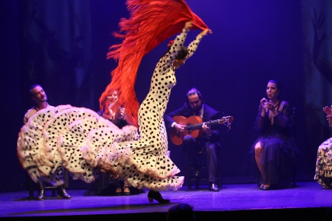 Malaga: Ticket voor live Flamenco showMálaga: Theatro Club Málaga Flamenco Show Kaartje