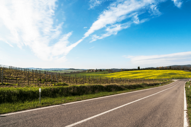 Peccioli Valdera 2 Stunden geführte E-Bike Tour + Weinverkostung