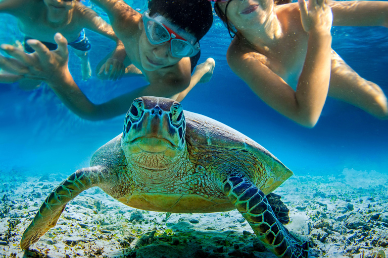 Brunch & snorkeling in the Blue Bay lagoon Brunch & snorkeling in the Blue Bay Lagoon