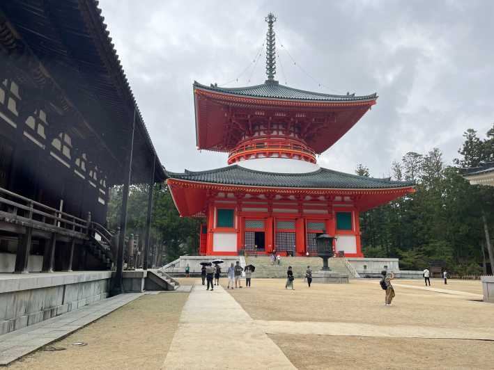 Mount Koya: Private Guided Tour Day from Osaka