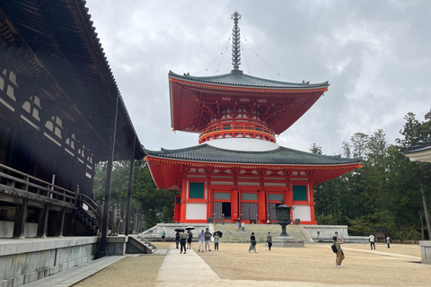 Mount Koya: Full-Day Private Guided Tour from Osaka