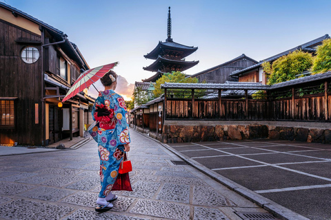 De Osaka: Excursão privada a Quioto e Nara (motorista que fala inglês)Visita Kyoto: Passeio turístico particular com motorista que fala inglês