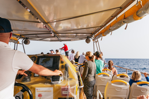 Lanzarote : croisière au crépuscule avec dauphins