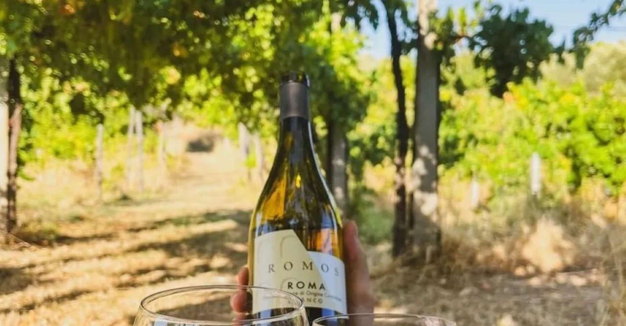 Frascati: picnic tra i vigneti a base di prodotti tipici locali e vino