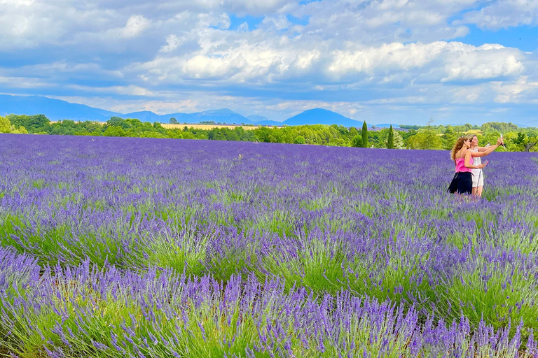 Z Awinionu: lawendowa wycieczka do Valensole i SaultZ Awinionu: całodniowa wycieczka po Valensole