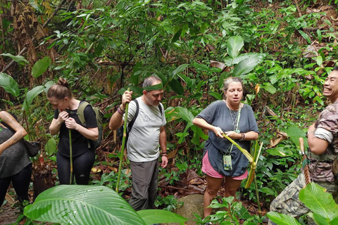 1 Day trekking : Chiang Rai popular activity,Fun in Nature.