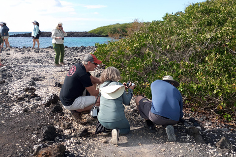 2 JOURS ÎLE ISABELA- ÎLOT TINTORERAS &amp; TUNELES CABO ROSA