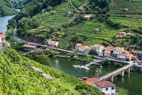 ✅Ruta Ribeira Sacra and Sarria: Between Vineyards, History and the Way of Saint James