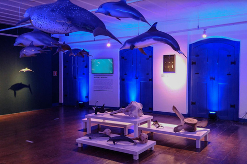 Paraty: Caiçara Life Guided Walking Tour with Food Tasting