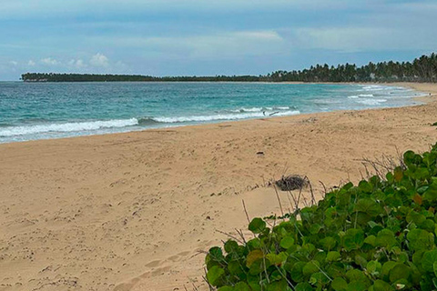 Punta Cana Round Mountain: Traumabenteuer Smaragdstrand