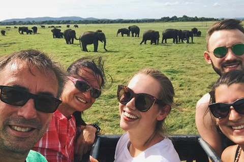 Eco Trails:Colombo to Sigiriya and Minneriya Safari Day Tour