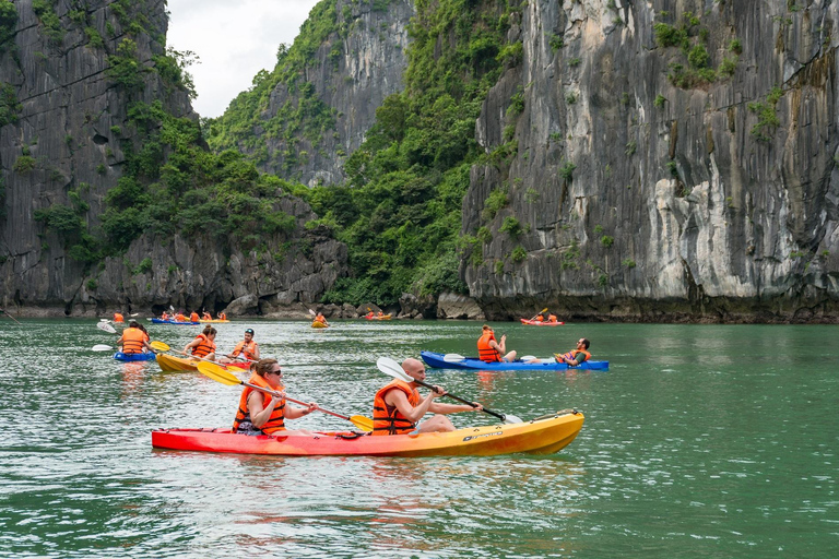 Hanoi: Crociera nella baia di Halong e Lan Ha con trasferimento in limousine