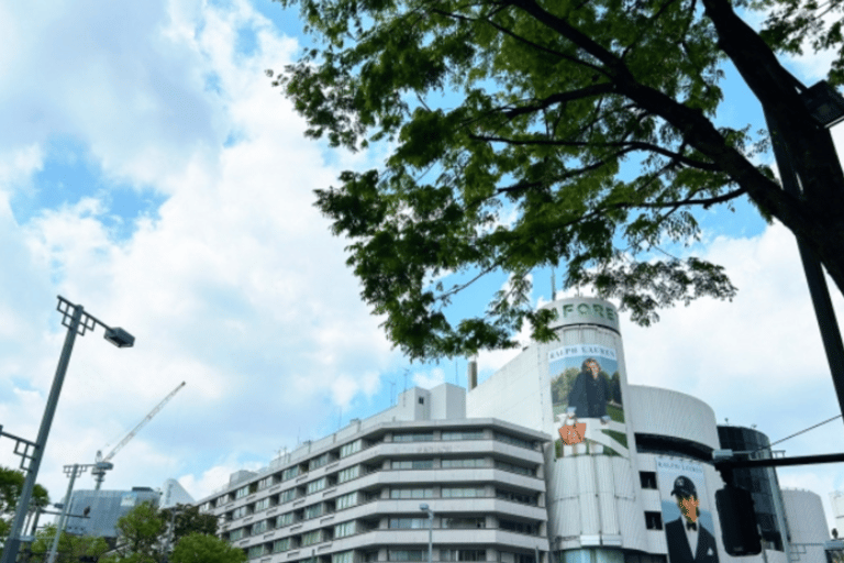 جولة طوكيو للثقافة الشعبية والتقاليد: من ضريح ميجي إلى هاراجوكو