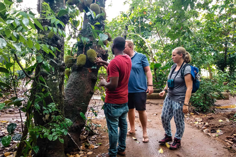 Zanzibar: Jozani Forest and Spice Farm Tour