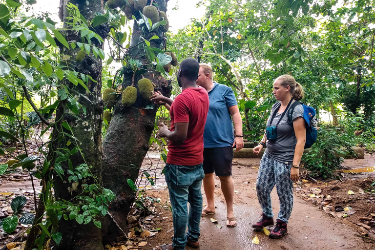Zanzibar: Jozani Forest and Spice Farm Tour