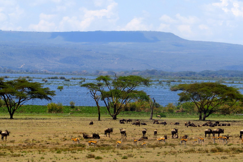 Tagestour:Crescent Island Walking Safari &amp; Naivasha Boat Tour