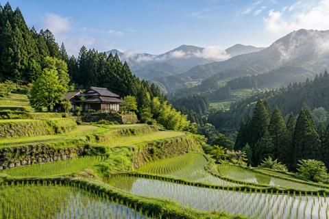 From Tokyo: Rice Terrace Water Walk & Stone Wall Tour