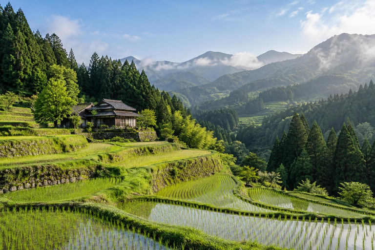 From Tokyo: Rice Terrace Water Walk & Stone Wall Tour