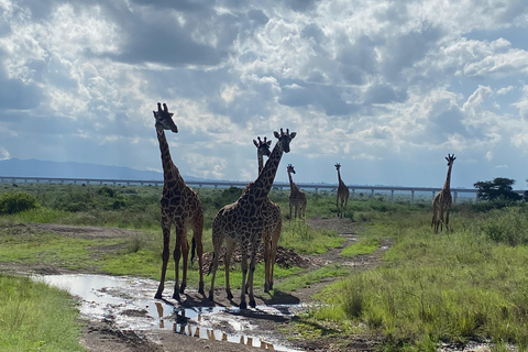 Nairobi: National Park Photography Expedition with Guide