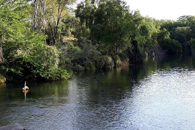 Nairobi: Safari di 6 giorni ai laghi della RiftValley e al Masai Mara con ...