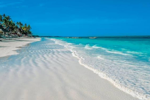 Zanzibar: tour a piedi nella foresta di Masingini e avventura con la zip line