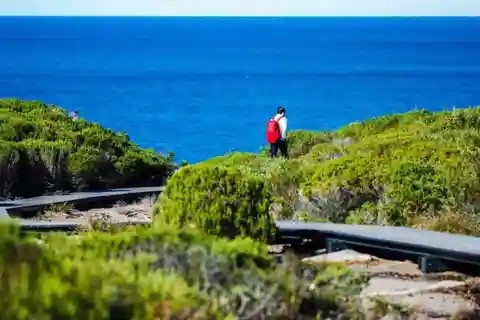 Melbourne: Excursão de um dia pela Great Ocean Road